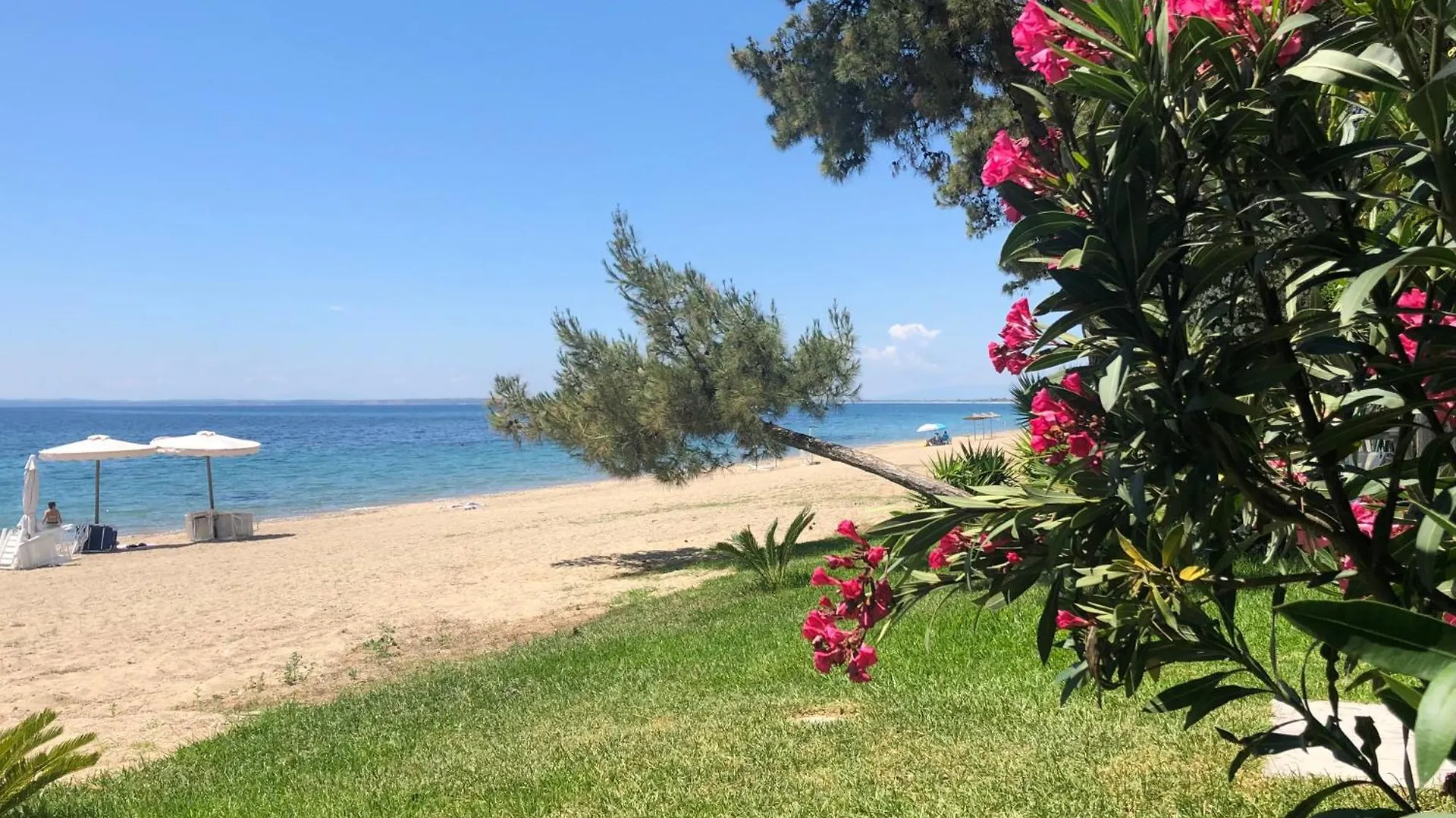 Falena Luxury Rooms Kalyves Polygyrou 4*,  Greece